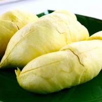 ทุเรียน